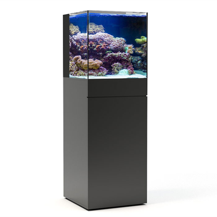 JBJ Aquarium 25G Black Rimless Flat Panel - AIO Aquarium - Solid Glass, Sleek, Modern Fish Tank for Advanced Aquascaping