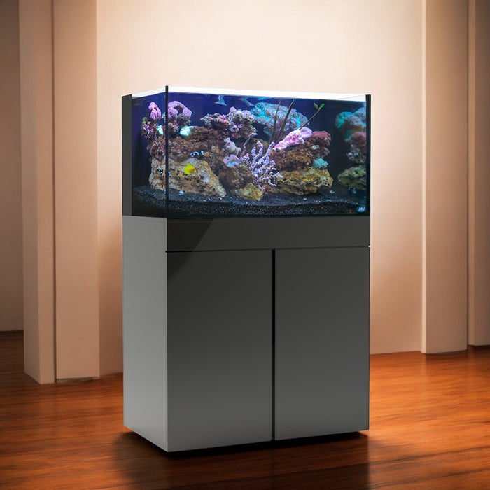 JBJ 65 Gallon Rimless Flat Panel Aquarium with Black Stand – FREE SHIPPING USA WIDE