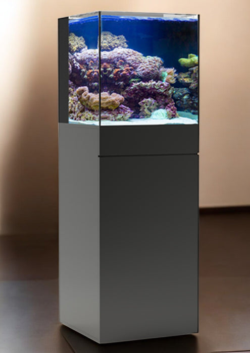 JBJ Aquarium 25G Black Rimless Flat Panel - AIO Aquarium - Solid Glass, Sleek, Modern Fish Tank for Advanced Aquascaping