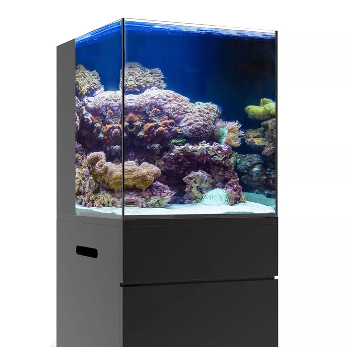 10-Gallon Nano Rimless AIO Aquarium – Compact, Stylish All-In-One Tank by JBJ